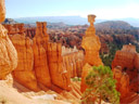 La région de Bryce Canyon possède des dépôts sédimentaires datant du Crétacé. Les couches rocheuses formées d'argiles, de grès, de sables, peuvent atteindre 2700 m d'épaisseur.
L'érosion a façonné ces amphithéâtres naturels très colorés aux formes variées, hoodos (cheminées de fées), etc. Le parc est situé sur le haut plateau du Paunsaugunt.  [6885 views]