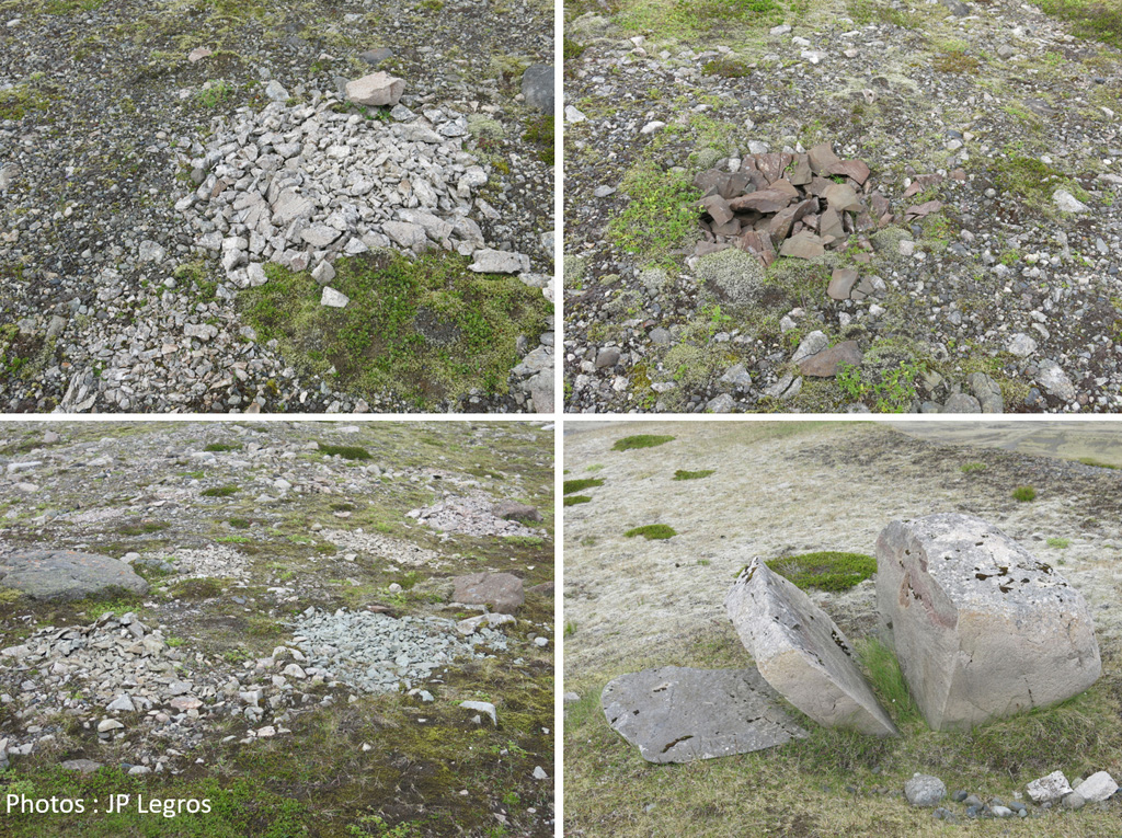 Sous les hautes latitudes, ici en Islande sur les moraines sud-est du Vatnajökull, on trouve des cercles de pierre dont l’origine n’a pas toujours été bien comprise. En fait, il s’agit de blocs qui, positionnés en surface, sont détruits par le gel et dont il subsiste seulement les débris accumulés sur place. Comme les blocs constitutifs des moraines sont d’origines diverses, les cercles peuvent avoir une couleur variée. Elle est souvent différente de celle de leur environnement immédiat. Le quatrième cliché, qui montre un bloc de 60 cm de haut en cours de division, est là pour attester la fantastique puissance du gel dans ces contrées nordiques. Les chercheurs du CNRS de Caen ont prouvé que l’agent destructeur principal n’est pas l’eau qui gèle et agrandit les fissures mais la différence thermique qui se crée entre cœur et surface du bloc en période de gel ou de dégel, c’est-à-dire parfois chaque matin et chaque soir. On note que dans les Alpes, des blocs erratiques, apportés par des glaciers, ont été ainsi complètement éclatés avec le temps. Les géologues en retrouvent parfois la trace sous forme de tas de pierres.
