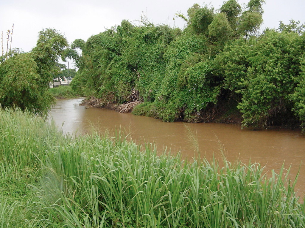 La rivière Sainte Suzanne draine le nord-est de l'île de la Réunion. Lors de cette pré-alerte cyclonique, les pluies abondantes accroissent le débit de la rivière et le transport des particules sédimentaires : on voit l'eau de la rivière colorée par les particules argileuses transportées.