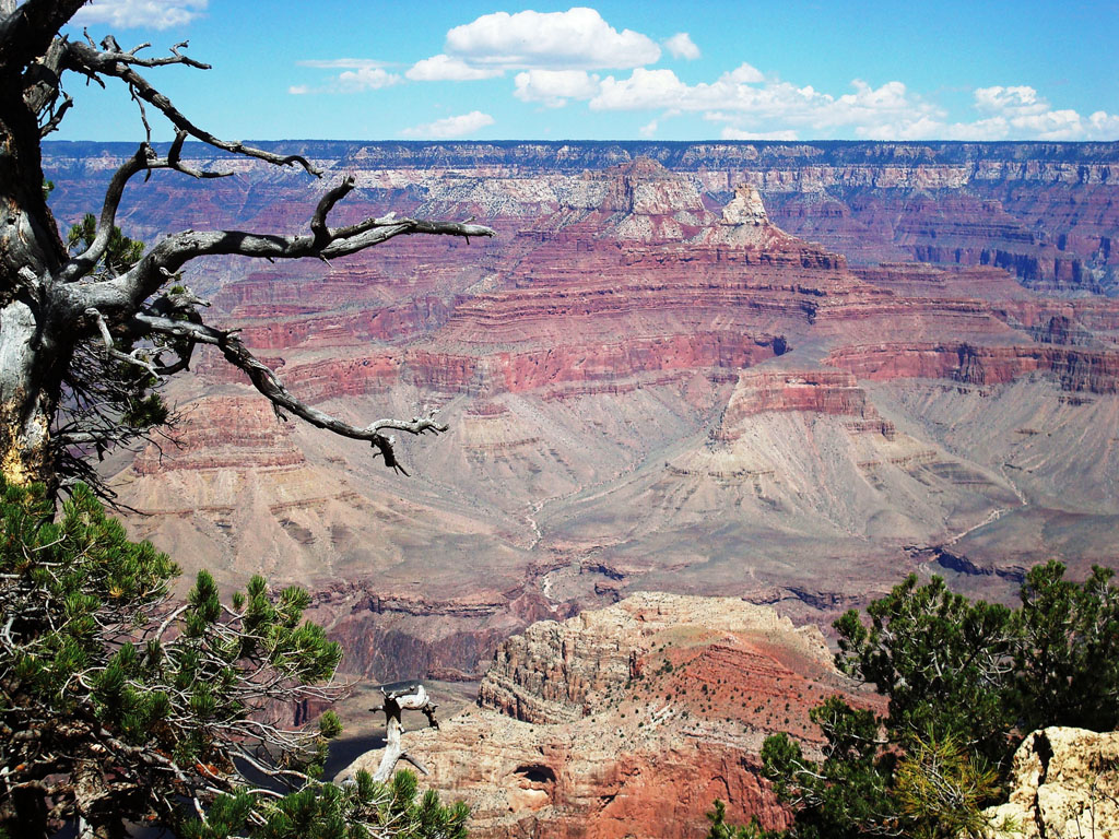 Le Grand Canyon a été sculpté par le Colorado dans le plateau du même nom, qui s'étend sur quelque 350 000 kilomètres carrés à cheval sur l'Arizona, l'Utah, le Colorado et le Nouveau-Mexique. à mesure que les forces tectoniques ont surélevé ce plateau - il culmine aujourd'hui entre 2 000 et 3 000 mètres d'altitude - les eaux de la rivière ont entaillé des roches situées de plus en plus profondément, donc de plus en plus anciennes. Plusieurs dizaines de couches rocheuses quasi horizontales y sont apparentes, embrassant quelque 2 milliards d'années, près de la moitié de l'histoire de la Terre.