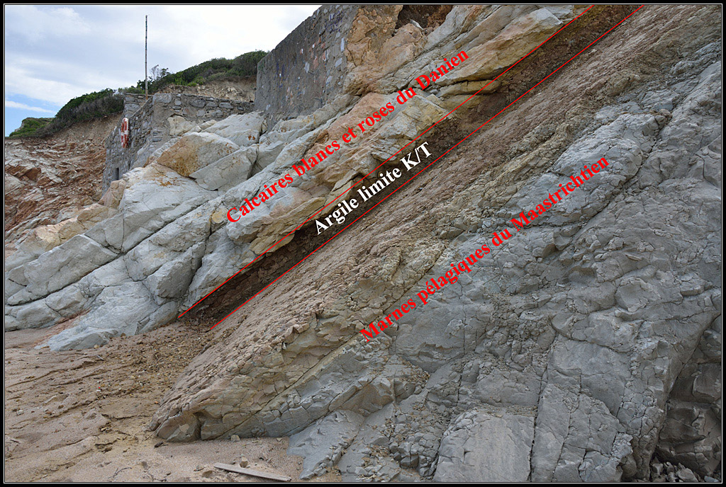 Limite Crétacé - Tertiaire à Bidart.
La couche d'argile (noire à la base, rouge au dessus) sépare les marnes datées du Maastrichtien (à droite) des calcaires roses et blancs datés du Danien (à gauche). La partie noire de la couche argileuse est très riche en iridium.<br />
<a href='https://phototheque.enseigne.ac-lyon.fr/photossql/photos.php?RollID=images&FrameID=K-T-Bidart'>Sans légendes</a>.