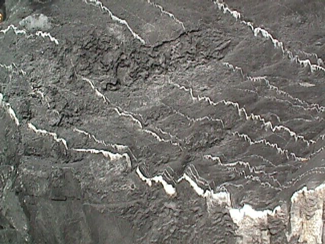 Calcaire argileux du jurassique (dit schiste sédimentaire) présentant des lits fins de calcite.