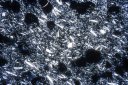 Andesite : texture microlithique avec quelques phénocristaux de plagioclases. Les taches noires correspondent à des bulles. [45400 views]