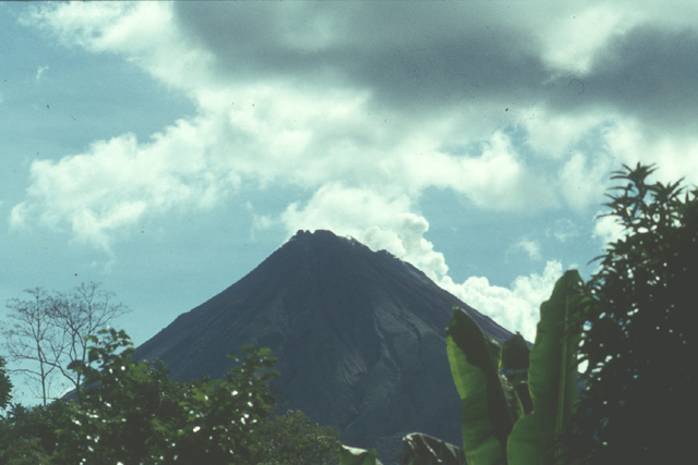 Volcan Arenal (Costa Rica) : petit strato volcan de 1633m. Deux éruptions historiques importantes, celle de 1500 et celle de 1968. Une courte phase explosive avec nuées ardentes fut suivie d'une phase plus nettement effusive.
<BR>
<A HREF='https://phototheque.enseigne.ac-lyon.fr/photossql/GoogleEarth/arenal.kmz'>
<IMG SRC='googleearth.gif' BORDER=0>
</A>