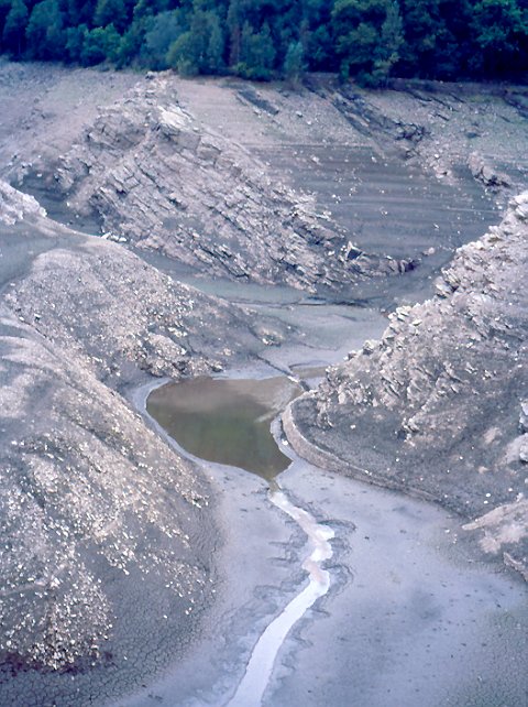 Micaschistes de la série métamorphique du Pilat affleurant dans la retenue du barrage de la Rive.  Leur pendage SSE-NNO est souligné par les niveaux de retrait de l'eau.  Observation de fentes de dessication et d'empreintes d'animaux dans le dépôt de boue argileuse.