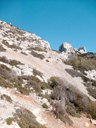 Un éboulis dans le massif des calanques de Callelongue (Marseille). On voit le granoclassement en fonction de l'importance de la pente (les plus fines particules restent préférenciellement dans les zones de faible pente car elles sont entraînées plus facilement par les eaux de ruissellement quand la pente est plus forte). L'instabilité et l'extrême aridité du sol calcaire sont à l'origine de la disposition clairsemée de la végétation composée de Romarin (<i>Rosmarinus officinalis</i>), Pistachier lentisque (<i>Pistacia lentiscus</i> L) et Bruyère (<i>Erica multiflora</i>). [8539 views]