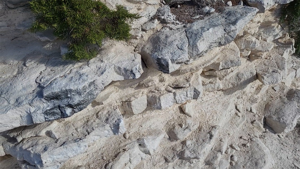 Calcaire de Bonifacio. Durant la formation du causse miocène de Bonifacio (Langhien inférieur -23 à -16 Ma), la montée du niveau de la mer est continue, atteignant un paroxysme au Burdigalien supérieur (18 Ma). Ce niveau de haute mer, connu mondialement, réduit la Corse à une petite île granitique dont le littoral oriental longe les Agriates, la dépression centrale et arrive dans l’extrême-sud. Les sédiments déposés à cette époque constituent tout ou partie du remplissage des actuels bassins sédimentaires de Bonifacio, de la Plaine orientale, de Francardo Ponte Leccia et de Saint-Florent. Le découpage du plateau « calcaire » s’exprime par une morphologie de falaises abruptes et relativement rectilignes qui limitent « le Causse » de Bonifacio avec des à-pics qui peuvent atteindre la centaine de mètres au cap Pertusato (pointe extrême-sud de la France Métropolitaine). Ces falaises sont particulièrement spectaculaires de par leurs vastes surplombs, leurs chaos d’éboulis et leurs larges grottes, résultats de l’érosion marine et de la dissolution karstique. Le causse calcaire de Bonifacio occupe une surface d’environ 25 km² et, si les falaises de Bonifacio ne dépassent pas une centaine de mètres de hauteur, son épaisseur maximale approche les 270 mètres. Sa formation est le résultat de dépôts volcano-sédimentaires, d’abord terrigènes puis plus ou moins carbonatés, riches en fossile, dans une dépression du socle granitique. <a href='https://phototheque.enseigne.ac-lyon.fr/photossql/photos.php?RollID=images&FrameID= calcaire_bonifacio1'>Échantillon</a> – affleurement – <a href='https://phototheque.enseigne.ac-lyon.fr/photossql/photos.php?RollID=images&FrameID= calcaire_bonifacio3'>paysage</a>.