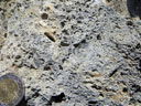 Cargneule du Trias des Alpes. Initialement, les cargneules sont des brèches de dolomie cimentées par de la calcite (une brèche est un conglomérat de fragments rocheux anguleux). Lorsqu'ils sont exposées à la circulation d'eau en surface ou à faible profondeur, les fragments rocheux de la brèche se dissolvent ou s'effritent ce qui libère des cavités et donne à la roche son aspect vacuolaire.
Vues des roches en place : <a href='https://phototheque.enseigne.ac-lyon.fr/photossql/photos.php?RollID=images&FrameID=gypses_Izoard'>Col de l'Izoard</a>, <a href='https://phototheque.enseigne.ac-lyon.fr/photossql/photos.php?RollID=images&FrameID=Casse_Deserte'>Casse déserte</a>.
 [5944 views]