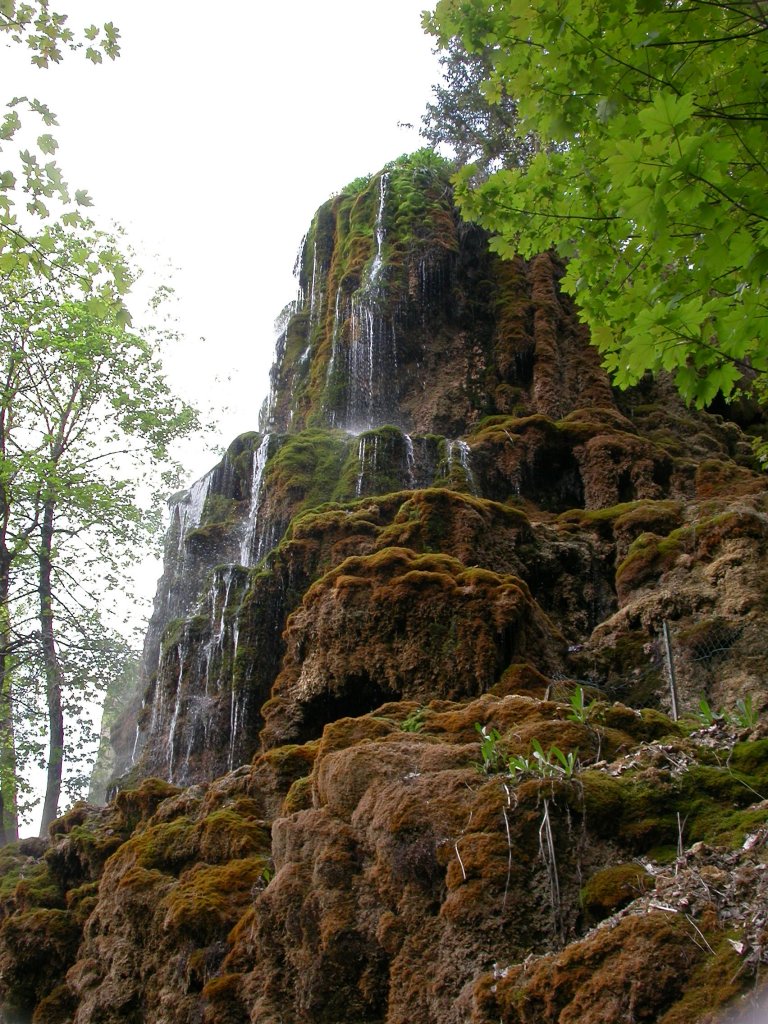 Cascade pétrifiante : le tuf, roche sédimentaire poreuse, est composé de concrétions calcaires formées par précipitation des carbonates d'une source.