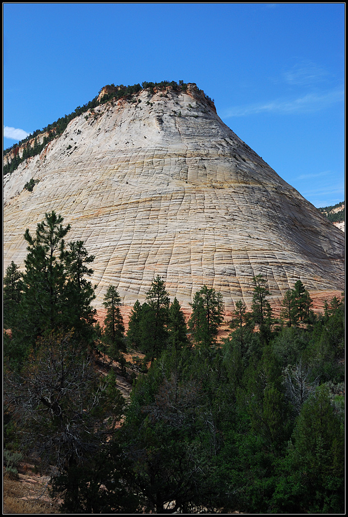 Checkerboard Mesa (littéralement <em>mesa en damier</em>), situé au sud-ouest de l'état américain de l'Utah, est une des montagnes les plus connues du parc national de Zion. Il s'agit de grès formé à partir du sable de dunes de désert, cimenté par de la calcite et des oxydes de fer. On peut y observer des stratifications obliques dues à l'action du vent sur les anciennes dunes de sable. Les  lignes verticales en surface sont elles dues à l'expansion et à la contraction à cause des variations d'humidité et de température actuelles.<br />
Vue d'ensemble 1 - <a href='https://phototheque.enseigne.ac-lyon.fr/photossql/photos.php?RollID=images&FrameID=checkerboard_mesa3'>Vue d'ensemble 2</a> - <a href='https://phototheque.enseigne.ac-lyon.fr/photossql/photos.php?RollID=images&FrameID=checkerboard_mesa4'>Vue rapprochée 1</a> - <a href='https://phototheque.enseigne.ac-lyon.fr/photossql/photos.php?RollID=images&FrameID=checkerboard_mesa5'>Vue rapprochée 2</a> - <a href='https://phototheque.enseigne.ac-lyon.fr/photossql/photos.php?RollID=images&FrameID=checkerboard_mesa6'>Affleurement</a>
