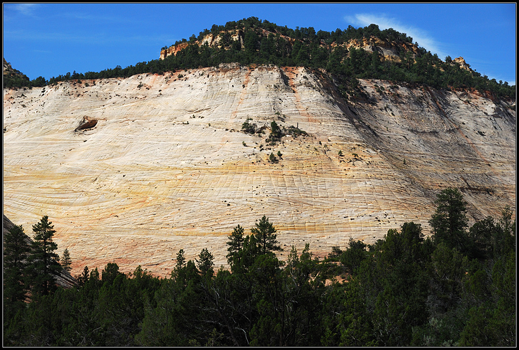 Checkerboard Mesa (littéralement <em>mesa en damier</em>), situé au sud-ouest de l'état américain de l'Utah, est une des montagnes les plus connues du parc national de Zion. Il s'agit de grès formé à partir du sable de dunes de désert, cimenté par de la calcite et des oxydes de fer. On peut y observer des stratifications obliques dues à l'action du vent sur les anciennes dunes de sable. Les  lignes verticales en surface sont elles dues à l'expansion et à la contraction à cause des variations d'humidité et de température actuelles.<br />
<a href='https://phototheque.enseigne.ac-lyon.fr/photossql/photos.php?RollID=images&FrameID=checkerboard_mesa2'>Vue d'ensemble 1 </a> - Vue d'ensemble 2 - <a href='https://phototheque.enseigne.ac-lyon.fr/photossql/photos.php?RollID=images&FrameID=checkerboard_mesa4'>Vue rapprochée 1</a> - <a href='https://phototheque.enseigne.ac-lyon.fr/photossql/photos.php?RollID=images&FrameID=checkerboard_mesa5'>Vue rapprochée 2</a> - <a href='https://phototheque.enseigne.ac-lyon.fr/photossql/photos.php?RollID=images&FrameID=checkerboard_mesa6'>Affleurement</a>
