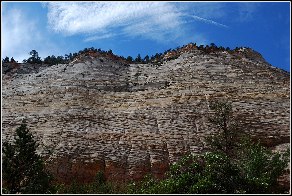 Checkerboard Mesa (littéralement <em>mesa en damier</em>), situé au sud-ouest de l'état américain de l'Utah, est une des montagnes les plus connues du parc national de Zion. Il s'agit de grès formé à partir du sable de dunes de désert, cimenté par de la calcite et des oxydes de fer. On peut y observer des stratifications obliques dues à l'action du vent sur les anciennes dunes de sable. Les  lignes verticales en surface sont elles dues à l'expansion et à la contraction à cause des variations d'humidité et de température actuelles.<br />
<a href='https://phototheque.enseigne.ac-lyon.fr/photossql/photos.php?RollID=images&FrameID=checkerboard_mesa2'>Vue d'ensemble 1 </a> - <a href='https://phototheque.enseigne.ac-lyon.fr/photossql/photos.php?RollID=images&FrameID=checkerboard_mesa3'>Vue d'ensemble 2</a> - Vue rapprochée 1 - <a href='https://phototheque.enseigne.ac-lyon.fr/photossql/photos.php?RollID=images&FrameID=checkerboard_mesa5'>Vue rapprochée 2</a> - <a href='https://phototheque.enseigne.ac-lyon.fr/photossql/photos.php?RollID=images&FrameID=checkerboard_mesa6'>Affleurement</a>
