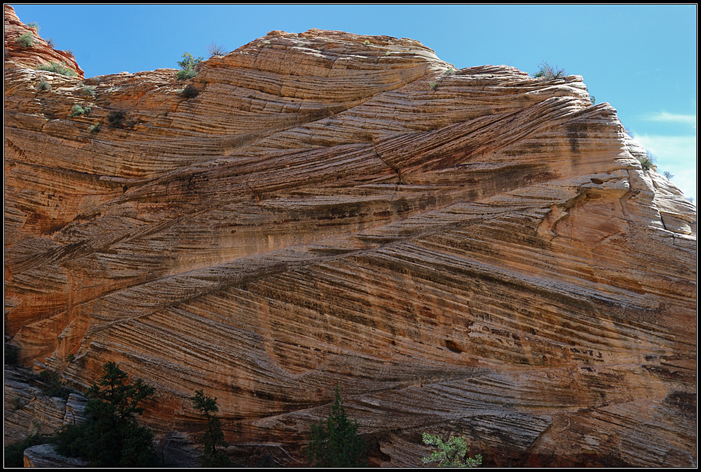 Checkerboard Mesa (littéralement <em>mesa en damier</em>), situé au sud-ouest de l'état américain de l'Utah, est une des montagnes les plus connues du parc national de Zion. Il s'agit de grès formé à partir du sable de dunes de désert, cimenté par de la calcite et des oxydes de fer. On peut y observer des stratifications obliques dues à l'action du vent sur les anciennes dunes de sable. Les  lignes verticales en surface sont elles dues à l'expansion et à la contraction à cause des variations d'humidité et de température actuelles.<br />
<a href='https://phototheque.enseigne.ac-lyon.fr/photossql/photos.php?RollID=images&FrameID=checkerboard_mesa2'>Vue d'ensemble 1 </a> - <a href='https://phototheque.enseigne.ac-lyon.fr/photossql/photos.php?RollID=images&FrameID=checkerboard_mesa3'>Vue d'ensemble 2</a> - <a href='https://phototheque.enseigne.ac-lyon.fr/photossql/photos.php?RollID=images&FrameID=checkerboard_mesa4'>Vue rapprochée 1</a> - Vue rapprochée 2 - <a href='https://phototheque.enseigne.ac-lyon.fr/photossql/photos.php?RollID=images&FrameID=checkerboard_mesa6'>Affleurement</a>
