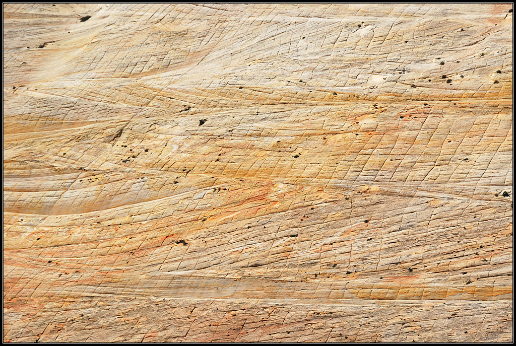 Checkerboard Mesa (littéralement <em>mesa en damier</em>), situé au sud-ouest de l'état américain de l'Utah, est une des montagnes les plus connues du parc national de Zion. Il s'agit de grès formé à partir du sable de dunes de désert, cimenté par de la calcite et des oxydes de fer. On peut y observer des stratifications obliques dues à l'action du vent sur les anciennes dunes de sable. Les  lignes verticales en surface sont elles dues à l'expansion et à la contraction à cause des variations d'humidité et de température actuelles.<br />
<a href='https://phototheque.enseigne.ac-lyon.fr/photossql/photos.php?RollID=images&FrameID=checkerboard_mesa2'>Vue d'ensemble 1 </a> - <a href='https://phototheque.enseigne.ac-lyon.fr/photossql/photos.php?RollID=images&FrameID=checkerboard_mesa3'>Vue d'ensemble 2</a> - <a href='https://phototheque.enseigne.ac-lyon.fr/photossql/photos.php?RollID=images&FrameID=checkerboard_mesa4'>Vue rapprochée 1</a> - <a href='https://phototheque.enseigne.ac-lyon.fr/photossql/photos.php?RollID=images&FrameID=checkerboard_mesa5'>Vue rapprochée 2</a> - Affleurement
