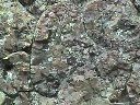 Pillow-lavas ou basalte en coussins, vue en coupe. La position du pédoncule (à droite) permet d'affirmer que le bloc a été basculé de 90°. [29037 views]