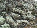 Pillow-lavas ou basalte en coussins, vue d'ensemble. [32342 views]