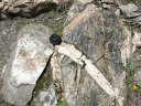 Ophicalcite. Veines de calcite cristallisée dans des fractures au sein de la péridotite serpentinisée. [12262 views]