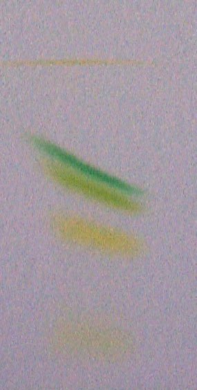 Chromatographie sur couche mince des pigments photosynthétiques du poivron vert. De haut en bas : carotènes, chlorophylle a, chlorophylle b, puis deux xanthophylles (lutéine pour le premier, ? pour l'autre).