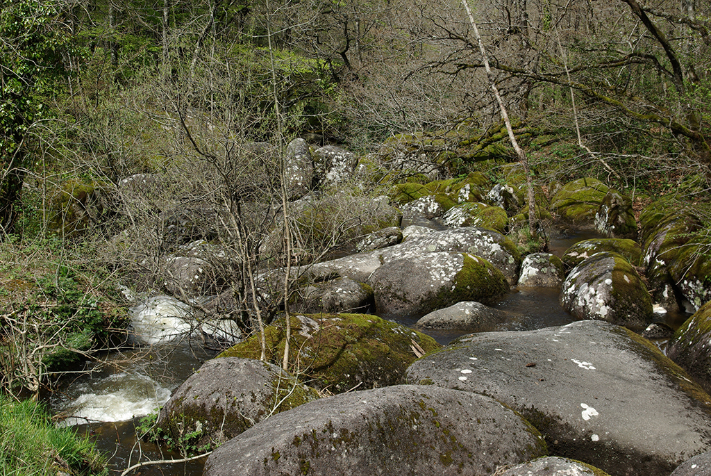 La rivière Lignon disparaît presque totalement sous le chaos de la Resse, blocs de granite dégagés par l'eau : c'est un compayré.