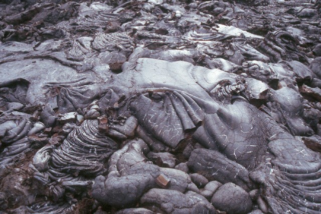 Piton de la Fournaise : cette coulée pahoehoe à la surface lisse, draperies de lave cordée, date de 1998.
<BR>
<A HREF='https://phototheque.enseigne.ac-lyon.fr/photossql/GoogleEarth/coulee98.kmz'>
<IMG SRC='googleearth.gif' BORDER=0>
</A>