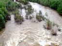 Rivière en crue (la Têt à Ille-sur-Têt).  Lors des crues violentes, le cours d'eau transporte des grandes quantités d'alluvions (argile, sables, ...) qui se déposeront en aval. [31949 views]