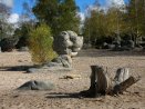 Le rocher du cul-du-chien de la forêt des trois pignons près de Fontainebleau. Ce rocher en grès de Fontainebleau est posé sur une mer de sable blanc. L'importante circulation de fluides à la fin du Stampien dans les sables de Fontainebleau est à l'origine de la dissolution totale des fossiles carbonatés. Le sable est totalement azoïque et c'est du quartz pur. Par ailleurs cette circulation de fluide a permis la grésification : la silice colloïdale s'est cristalisée entre les grains de sable, formant ainsi les grès de Fontainebleau. Les grès sont composés exclusivement de quartzite.   Leur formation date du stampien. [38706 views]