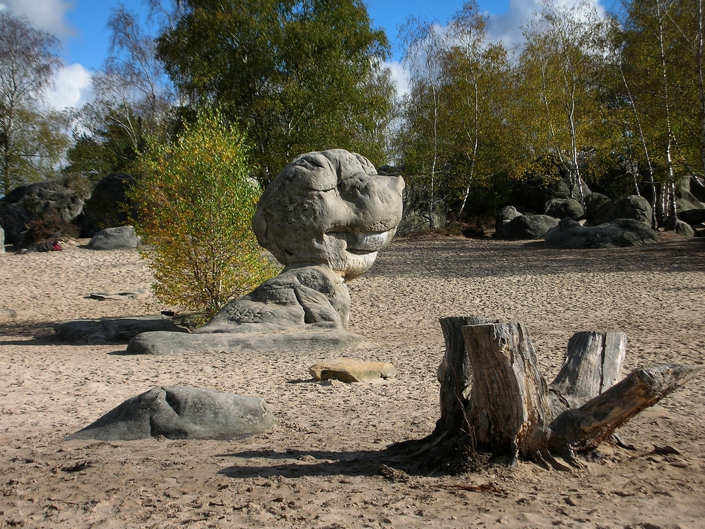 Le rocher du cul-du-chien de la forêt des trois pignons près de Fontainebleau. Ce rocher en grès de Fontainebleau est posé sur une mer de sable blanc. L'importante circulation de fluides à la fin du Stampien dans les sables de Fontainebleau est à l'origine de la dissolution totale des fossiles carbonatés. Le sable est totalement azoïque et c'est du quartz pur. Par ailleurs cette circulation de fluide a permis la grésification : la silice colloïdale s'est cristalisée entre les grains de sable, formant ainsi les grès de Fontainebleau. Les grès sont composés exclusivement de quartzite.   Leur formation date du stampien.