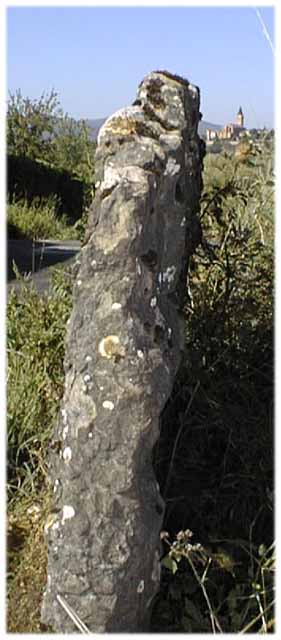 Le calcaire à gryphées est taillé en grandes plaques d'un seul tenant. Il est souvent utilisé dans l'ouest lyonnais comme limite de terrain ou pierre de bornage dans les champs.