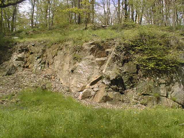 Le granite du parc de Lacroix Laval dans l'ouest lyonnais. Cette falaise, fissurée de diaclases présente des blocs anguleux.