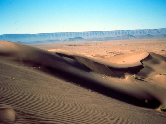 Cette dune résulte de l'accumulation de sable du désert, transporté par le vent.
