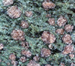 Cette roche est une éclogite à grenat (rose) et jadéite (verte). On peut trouver des traces de plagioclase blanc et d'amphibole (noir-bleu nuit) : la glaucophane.<br />  Cette roche appartient au faciès « éclogite » et, par sa composition, provient de la transformation d'un gabbro. <br /><br />   Cette photographie est proposée dans le cadre d'une évaluation de la quantité d'eau contenue dans la roche (depuis le gabbro de dorsale jusqu'à l'éclogite) par l'utilisation du logiciel Mesurim.  <a href='http://svt.enseigne.ac-lyon.fr/spip/spip.php?article392'>Lien avec le dossier pédagogique</a>.<br /><br />    Mots clefs : métagabbro - éclogite - mesurim - lithosphère - subduction - plagioclase -  glaucophane - grenat - jadéite [33442 views]
