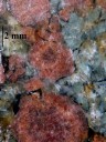 Cette éclogite montre deux minéraux essentiels : le grenat (pyrope) et la jadéite. Cette association minérale définit l'éclogite dont la composition est proche des basaltes et gabbros de la croûte océanique. Elle provient de la transformation de ces roches lors de la subduction de la croûte océanique en profondeur. Les traces sombres autour des grenats indiquent un début de rétromorphose avec la formation d'amphibole (hornblende verte).  Mots clefs : éclogite - grenat - jadéite - subduction
<a href='http://svt.enseigne.ac-lyon.fr/spip/spip.php?article169' target='_blank'>Page liée</a> [44285 views]