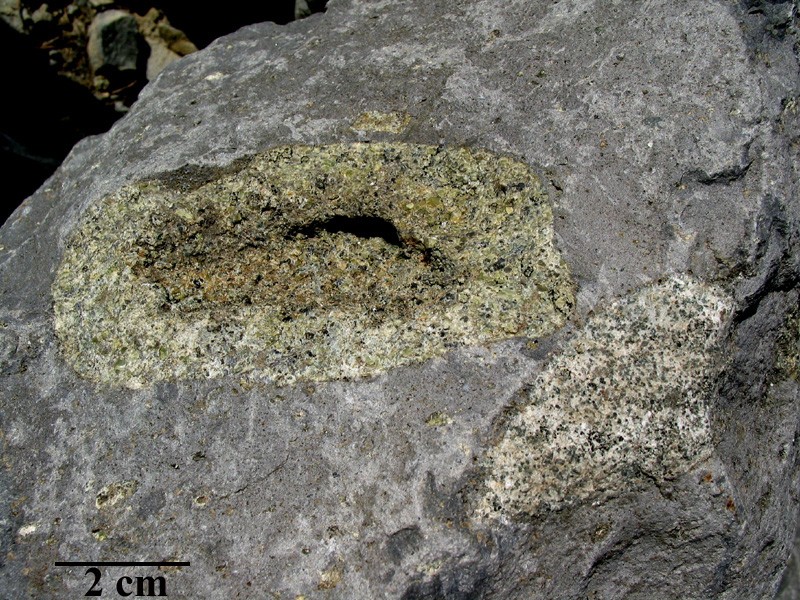Enclaves de lherzolite et de granite dans basalte. Le basalte entraîne parfois des débris de roches profondes, provenant du manteau supérieur, des péridotites. Une seconde enclave du socle granitique est visible dans le basalte. <a href='http://svt.enseigne.ac-lyon.fr/spip/spip.php?article153' target='_blank'>Page liée</a>.<br /> Mots clefs : enclave - péridotite - lherzolite - basalte - volcanisme - granite.
