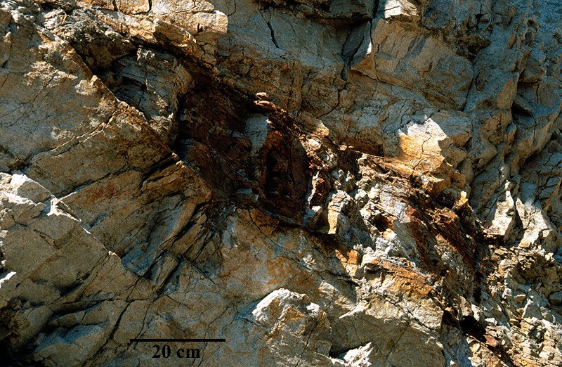 Enclave de socle dans le granite. Le granite (leucogranite LgammaR2AL de la carte géologique d'Yssingeaux) d'âge Carbonifère supérieur, comporte des enclaves du socle métamorphique. L'enclave de migmatites visible sur la photographie montre une structure plissée indiquant que sa "digestion" par le pluton granitique est très incomplète. Localisation : carte géologique d'Yssingeaux - le Betz. <a href='http://svt.enseigne.ac-lyon.fr/spip/spip.php?article153' target='_blank'>Page liée</a>.<br /> Mots clefs : granite - socle - enclave - datation relative.
