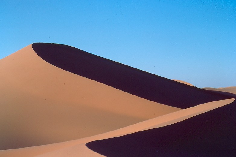 Les dunes du Grand Erg Occidental à Taghit. L'erg est le désert de sable par opposition au reg, désert de pierre.