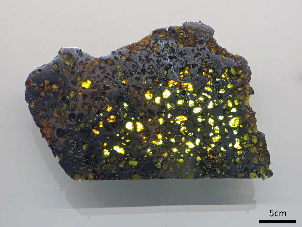 Esquel, trouvée en 1951 en Argentine. Météorite mixte (Pallasite). Les pallasites ne représentent que 1% de toutes les météorites. Avec ses grains d'olivine se détachant sur fond de fer, Esquel est considérée comme l'une des plus belles météorites au monde. Les scientifiques pensent qu'elle s'est formée à la suite d'une collision entre le noyau de fer d'un astéroïde différencié et le manteau d'un autre astéroïde. L'éclairage des olivines par transparence permet de mieux voir sa structure.