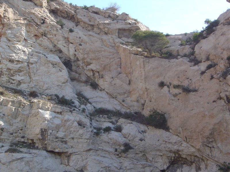 Faille normale sur des calcaires dolomitiques du Jurassique Supérieur. Bordure du bassin de Marseille, près de l'Estaque, à hauteur des plages de Corbières.