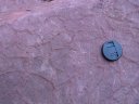 Fentes de dessication fossiles dans une carrière de grès du Buntsandstein moyen. [27452 views]