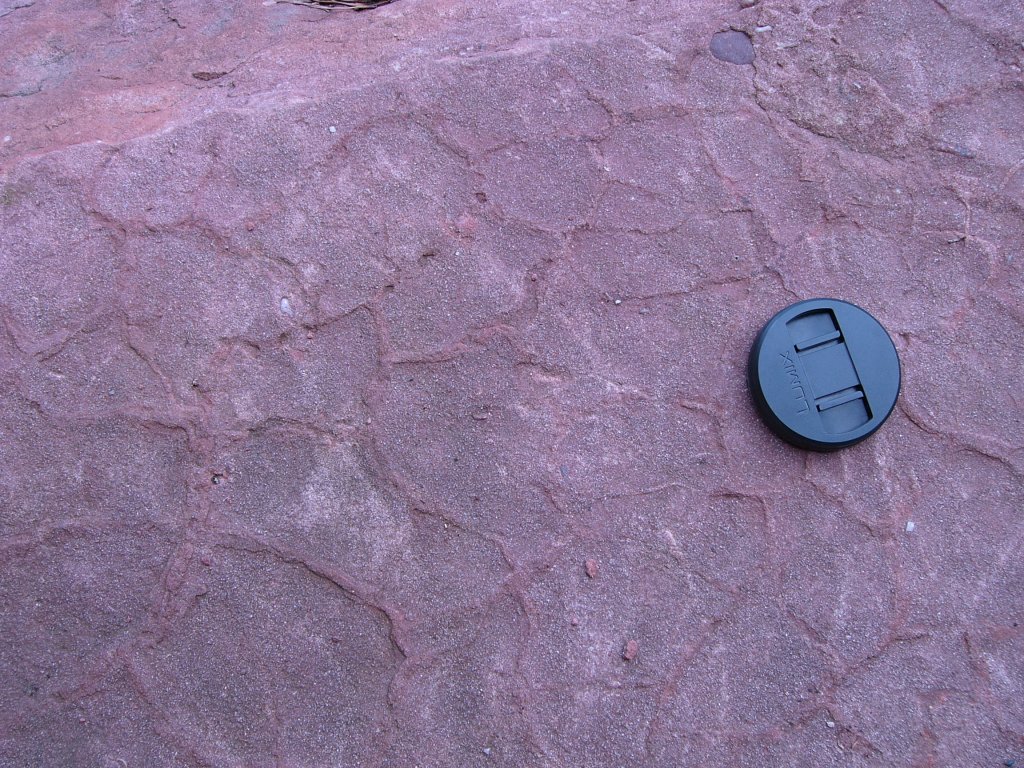 Fentes de dessication fossiles dans une carrière de grès du Buntsandstein moyen.