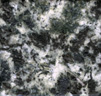 Gabbro océanique (Islande).   Cette roche est constituée de plagioclase (blanc) et de pyroxène, gris-bronze, probablement de l'augite.<br /><br />     Cette photographie est proposée dans le cadre d'une évaluation de la quantité d'eau contenue dans la roche (depuis le gabbro de dorsale jusqu'à l'éclogite) par l'utilisation du logiciel Mesurim.  <a href='http://svt.enseigne.ac-lyon.fr/spip/spip.php?article392'>Lien avec le dossier pédagogique</a>.<br /><br />.    Mots clefs : gabbro - mesurim - lithosphère - dorsale -  pyroxène - plagioclase [27525 views]