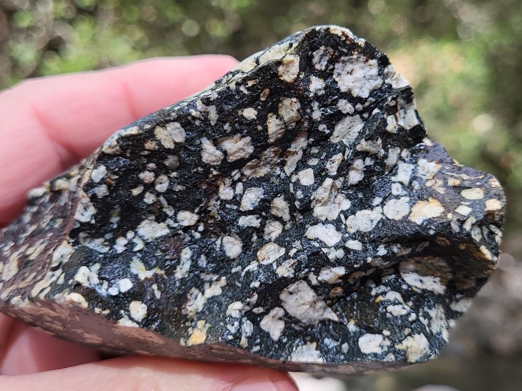 Le nom de gabbro est issu d’une localité de Toscane (Italie). Il s’agit d’une roche magmatique constituant la base de la croûte océanique. On le retrouve en surface dans les complexes ophiolitiques, c'est-à-dire dans les restes de fonds océaniques qui ont été charriés en milieu continental lors de la fermeture d'un océan. C’est une roche grenue, constituée principalement de feldspaths plagioclases (blancs), de pyroxènes et d’olivine (foncés).