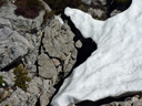 Cet affleurement calcaire observé sur le plateau du Rax (Raxalpen) en Autriche a subi une fracturation par le gel : l'eau s'est infiltrée dans une fissure, puis a gelé. La glace occupant un volume supérieur à l'eau, cette glace a élargi la fissure et fait éclater la roche. Le morceau brisé est toujours en place. [19738 views]
