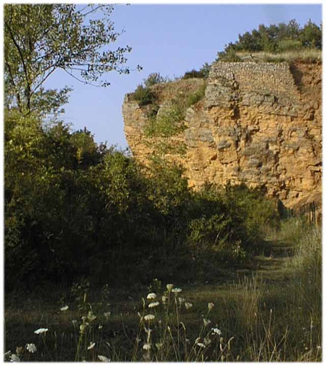 La carrière de calcaire à entroques (ou pierre dorée) à Glay, Saint Germain sur l'Arbresle (Ouest lyonnais). De cette carrière fut extraite une grande partie des roches ayant  servi à la construction de nombreux bâtiments de la région dite "des Pierres dorées". Elle n'est plus exploitée actuellement. Ce calcaire appartient à l'Aalénien du Jurassique inférieur.