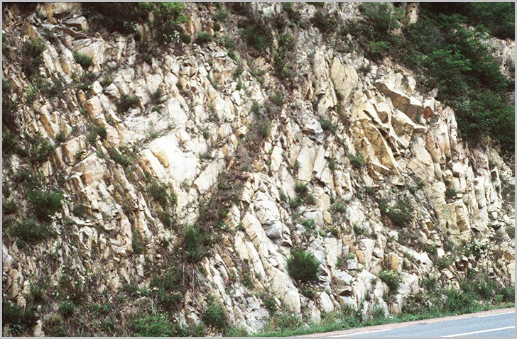 Le socle de la région lyonnaise est constitué d'anatexites et de granites syntectoniques hercyniens dont celui de Civrieux, mis en place vers -330 Ma. L'affleurement est très diaclasé et les blocs se détachent facilement. L'arène granitique produite par altération des feldspaths et de la biotite puis par la désagrégation du granite est visible sur la photo. <a href='http://svt.enseigne.ac-lyon.fr/spip/spip.php?article274' TARGET='_blank'>Page liée</a>