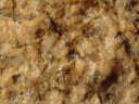 Echantillon de granite trouvé près de la pointe de Pern sur l'Ile d'Ouessant, ce prolongement dans l'Atlantique étant le point le plus occidental du territoire de la France métropolitaine. [13005 views]
