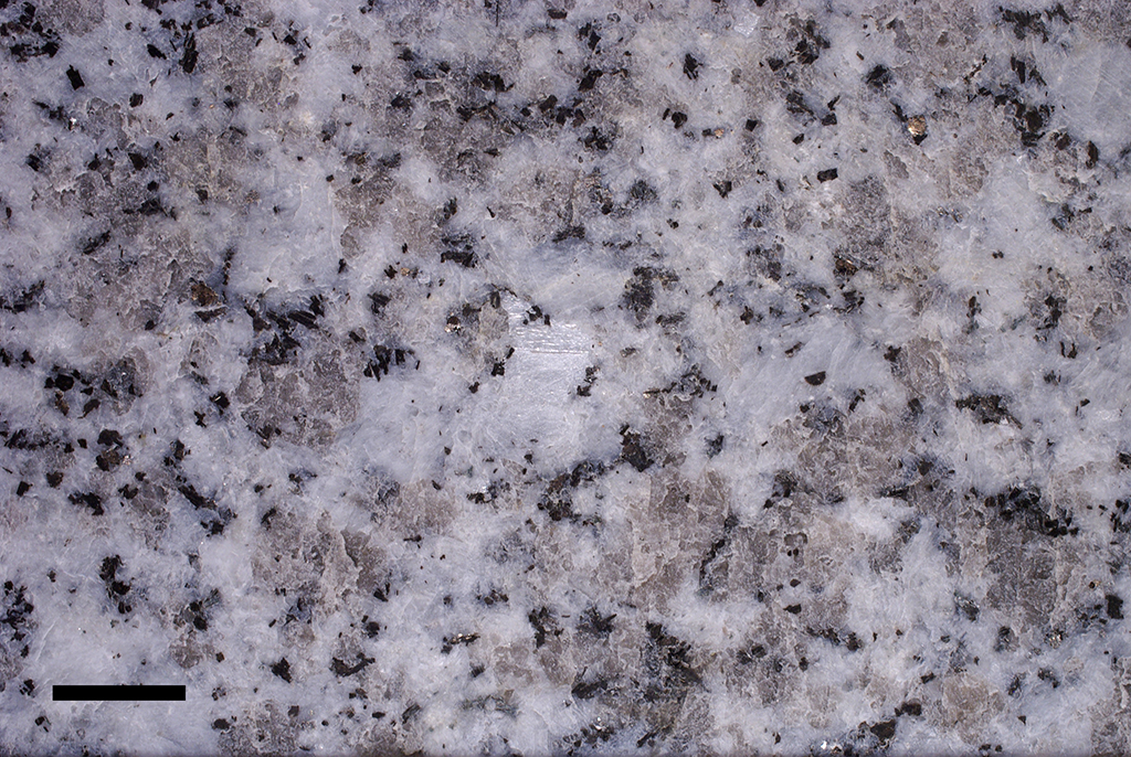 Granite gris du Sidobre (poli). Blancs : feldspaths (microcline 12% et plagioclases 39%) ; gris : quartz 39% ; noir : biotite 10%. Bon exemple de structure holocristalline. Ce granite est en réalité une granodiorite intrusive. Barre = 1 cm.