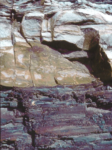 Grès et "schistes houillers".   On peut voir le feuilletage des schistes houillers. Cette roche argileuse est facilement clivable et entre deux feuillets on peut trouver parfois des fossiles de végétaux.