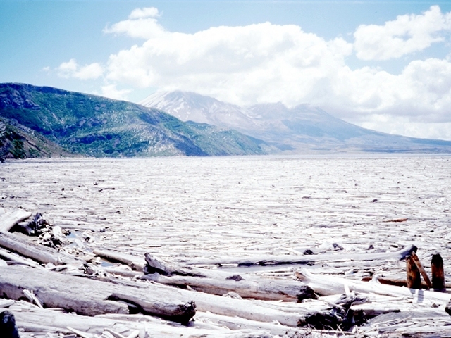 Le mont Saint Helens : volcan observé depuis le "Spirit Lake" dont la surface est recouverte de troncs déracinés qui flottent (et bon nombre qui sont en dessous).
<BR><A HREF='https://phototheque.enseigne.ac-lyon.fr/photossql/GoogleEarth/helens2.kmz'><IMG SRC='googleearth.gif' BORDER=0></A>