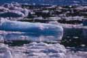 Des icebergs de toutes tailles flottent dans la Baie du Prince William en Alaska. Ils se forment en permanence par l'écroulement du front de nombreux glaciers dans l'océan. [32084 views]