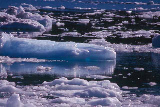 Des icebergs de toutes tailles flottent dans la Baie du Prince William en Alaska. Ils se forment en permanence par l'écroulement du front de nombreux glaciers dans l'océan.